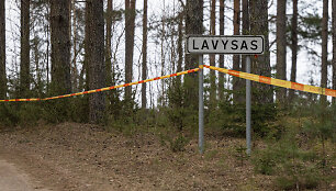 Ant Lavyso ežero nukritęs objektas