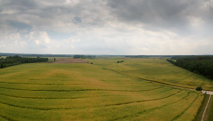 Tytuvėnų apžvalgos bokštas