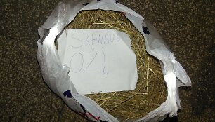 Grasinantis lai&scaron;kas