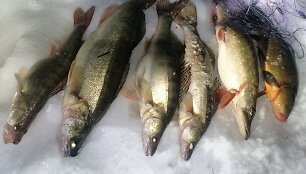 Aplinkosaugininkai sulaikė du tinklais žvejojusius asmenis