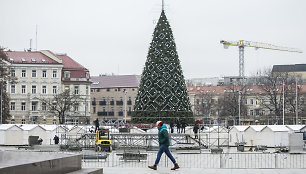 Sostinės Katedros aikštėje statoma Kalėdų eglė