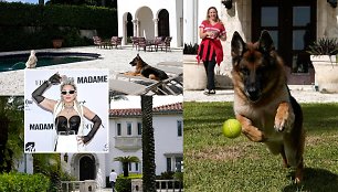 Turtingiausias pasaulio šuo parduoda buvusią Madonnos vilą: prašo triskart daugiau