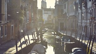 Magi&scaron;koji Venecija