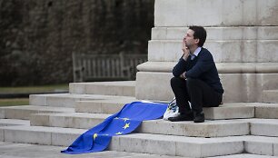 Europos Sąjungos vėliava