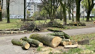 Sostinės „Žirmūnų trikampyje“ kertami medžiai