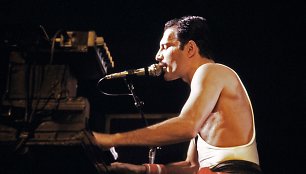 Freddie Mercury (1984 m.)