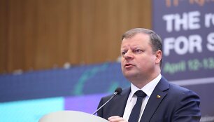 Ministro Pirmininko Sauliaus Skvernelio vizitas Ukrainoje