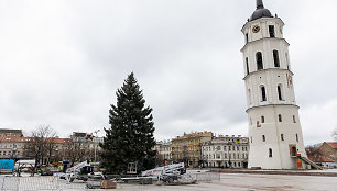 Vilniuje pradėta statyti Kalėdų eglutė