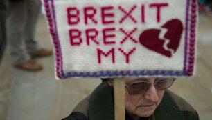 Protestas prie &bdquo;Brexit&ldquo;