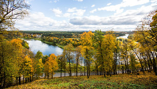 Neries pakrantė