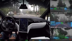Pasaulis automobilio &bdquo;Tesla&ldquo; akimis