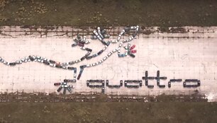 &bdquo;Gecko Quattro&ldquo; logotipas
