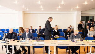 Renaldas Gudauskas, Juozas Pabrėža, Mindaugas Jurkynas, Irena Vai&scaron;vilaitė