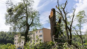 Paneriai &scaron;alia Vievio bando atsigauti po dar nematytos audros