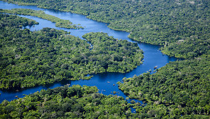 Amazonės upė