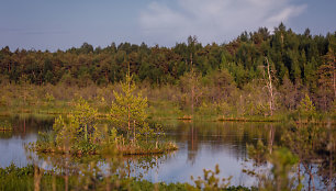 Varnikų pažintinis takas