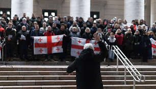 Protestuojančių kartvelų palaikymo akcija