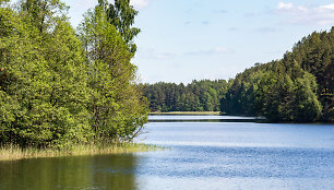 Antalieptės marios