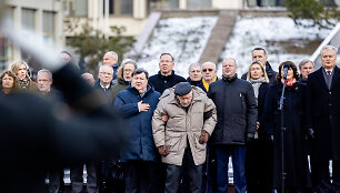 Emanuelis Zingeris, Vytautas Landsbergis, Saulius Skvernelis