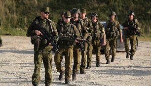 Karinės pratybos &bdquo;Jungtinis ryžtas 2019&ldquo;