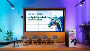 Renginio nuotrauka, „Kaip įsidarbinti startuolyje“