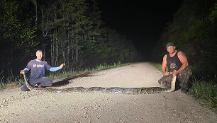 Floridoje sugavo rekordinio dydžio Birmos pitoną