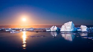 „NY Times“: Pavojus iš Antarktidos – vėjai, ledynai ir povandeninės srovės graso žmonijai