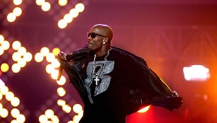 Reperis DMX