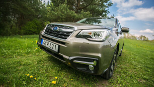 &bdquo;Subaru Forester&ldquo;