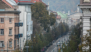 Ruduo Vilniuje