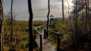 Lenkimų bebrynas