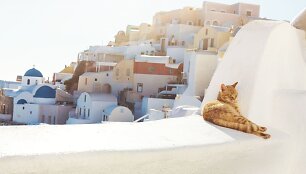 Santorinas