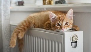 Statote namą? Koks šildymo būdas būtų pigiausias?