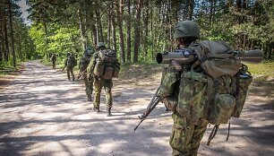 NATO pratybos 