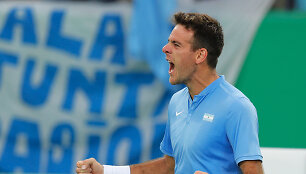 Juanas Martinas Del Potro