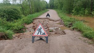 Liūties suardytas kelias