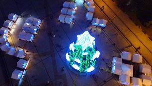 christmas-tree-2015-vilnius