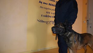 Įkalinimo įstaigų patikrinimas su tarnybiniais &scaron;unimis