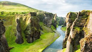 Fjaðrárgljúfur kanjonas Islandijoje