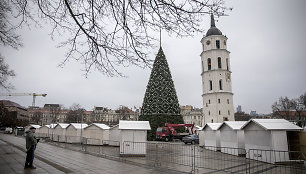 Sostinės Katedros aikštėje statoma Kalėdų eglė