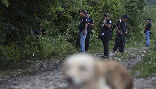 Policija saugo masinės kapavietės Meksikoje vietą