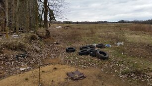Draugų kompanija aptvarkė mi&scaron;ką prie Mickūnų