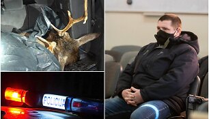 Policininkas E.Balčiūnas atsidūrė teisme, kol kas &ndash; tik dėl įtarimų gabenus neteisėtai sumedžiotą laukinį gyvūną.