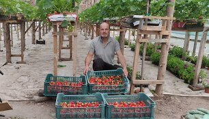 &bdquo;Ogmios miesto&ldquo; ūkininkų turguje &ndash; netikėti vasaros skonių deriniai: pirmąsias bra&scaron;kes kviečia ragauti gurmani&scaron;kai 