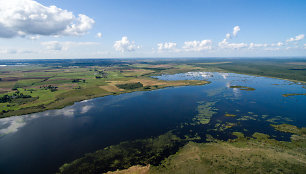 Žuvinto ežeras ir pelkės