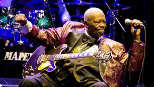 B.B.Kingas (2011 m.)