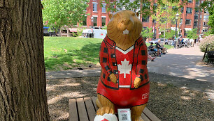 Torontas