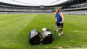 Stadiono veja