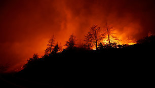 Kalifornijoje sparčiai plintant miško gaisrui tūkstančiams žmonių nurodyta evakuotis