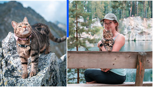 Aliona į keliones leidžiasi su kate: kartu kopdamos į kalnus stebino aplinkinius
